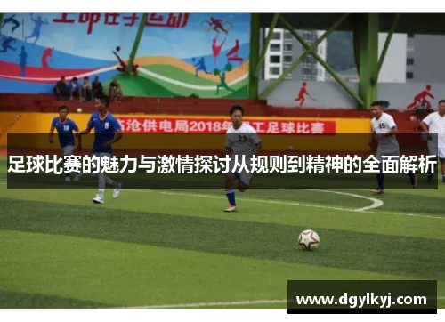 足球比赛的魅力与激情探讨从规则到精神的全面解析