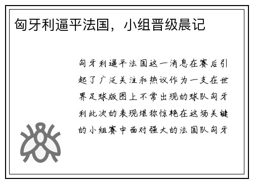 匈牙利逼平法国，小组晋级晨记