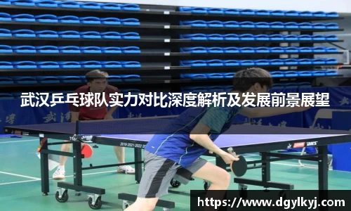 武汉乒乓球队实力对比深度解析及发展前景展望