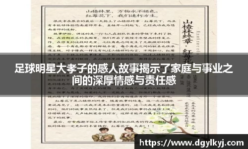 星空.综合体育官网