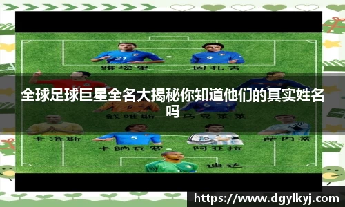 星空.综合体育官网